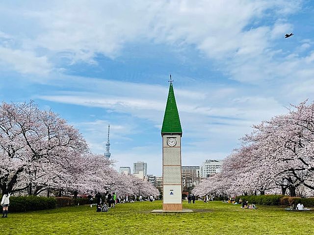 周辺 ザ・ガーデンタワーズ サンライズタワー 18階/-