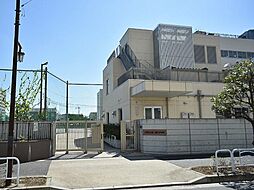 江東区立第二辰巳小学校 徒歩12分。 900m