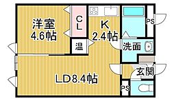 241Aラペル 1LDKの間取図画像