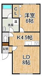 SHINKA26 1LDKの間取図画像