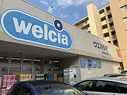 ウエルシア名古屋花の木店（824m）