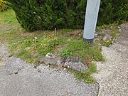 雑種地（354番3、4.98？）
