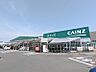 周辺：カインズ高崎東部店 824m