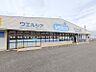 周辺：ウエルシア高崎吉井店 807m