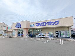 マルエドラッグ高崎新保店 1672m