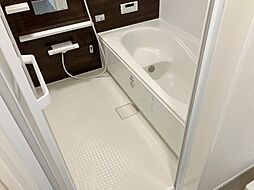 ＩＳＨＩＫＡＷＡ　ＨＩＬＬＳ　IX