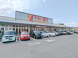 ヤオコー高崎飯塚店 584m