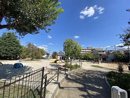 壬生檜公園（377m）