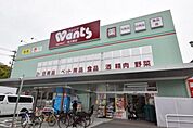 ドラックストア「ウォンツ舟入町店まで291ｍ」