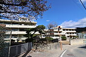 小学校「坂町立坂小学校まで556ｍ」