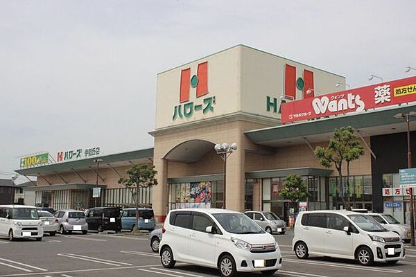 周辺を拡大表示