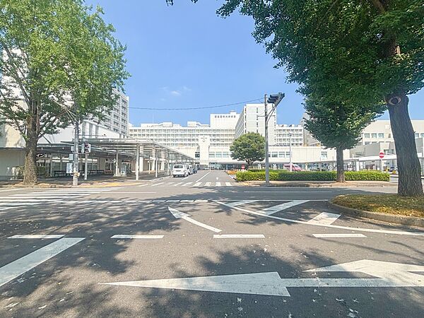周辺を拡大表示