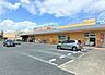 周辺：ドラッグセガミ朱雀店 1030m