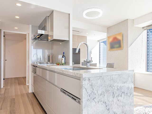 キッチン パークタワー勝どきサウス 39階/-