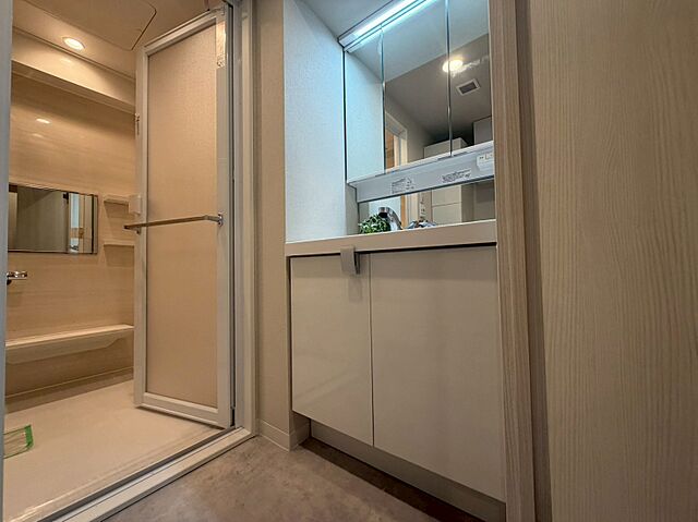 洗面 湯島ハイタウンＡ棟 13階/-