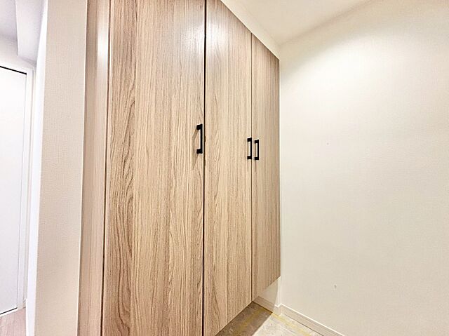 収納 東急ドエルアルス根津 11階/-