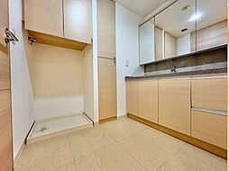 十分な広さの脱衣所。