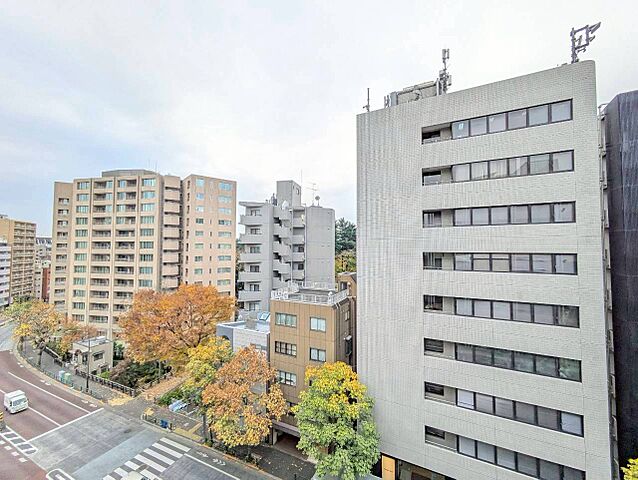 バルコニー マジェスティハウス新宿御苑パークナード 7階/-