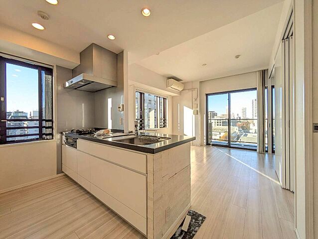 リビング/ダイニング セントラルレジデンス御茶ノ水ヒルトップ 10階/-