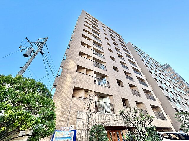 外観 セザール向島 3階/-