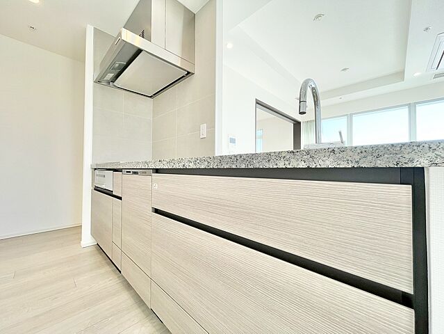 キッチン ザ・パークハウス晴海タワーズティアロレジデンス 34階/-