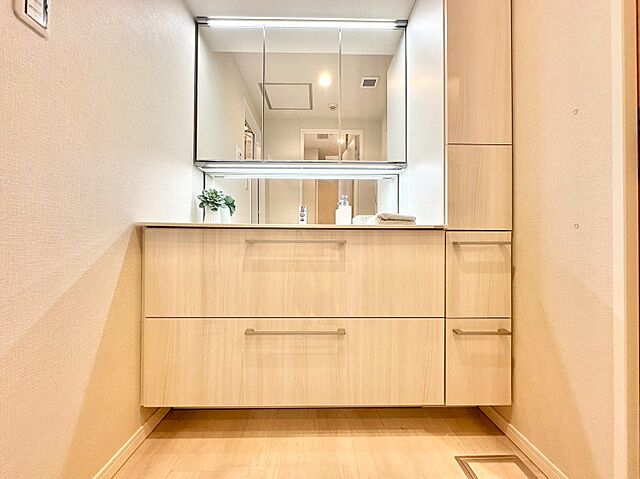 洗面 晴海アイランドトリトンスクエアビュータワー 43階/-