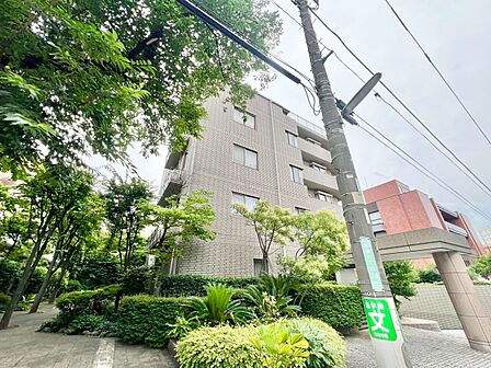 飽きのこないシンプルモダンな外観です。