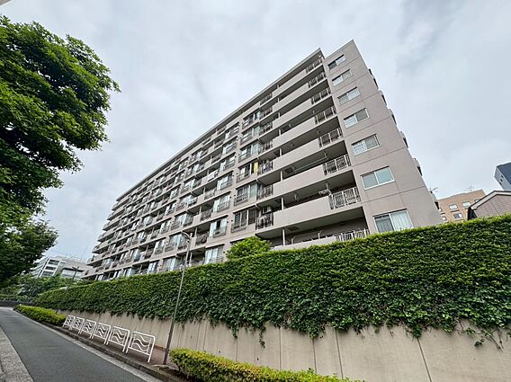 忙しく過ぎゆく...