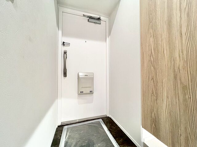 玄関 市川パークハウス　Ａ棟 7階/-