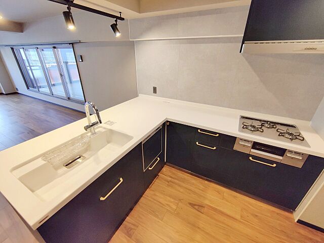 キッチン 五反田ガーデンハイツ 10階/-