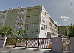 川崎市立東高津小学校（320m）