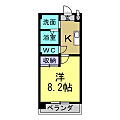 Raffine鯉江本町1階4.6万円