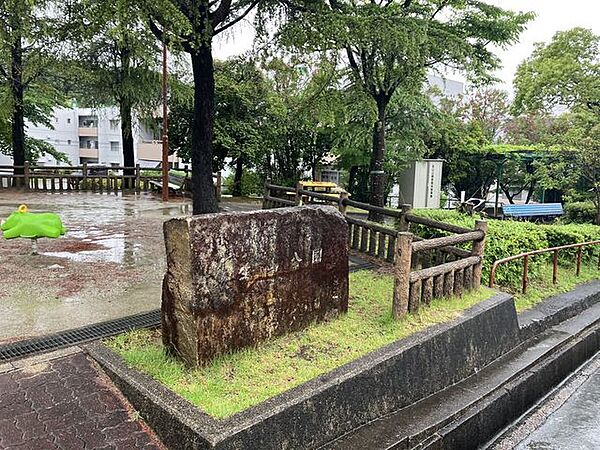 周辺を拡大表示