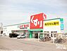 周辺：スギ薬局中百舌鳥店 1183m