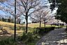 周辺：【弾正公園】草津市立体育館や草津グリーンスタジアムなどが隣接する総合スポーツ公園です。その総合スポーツ公園内にある遊具エリアにフリーフォールのある大型遊具があります。 950m