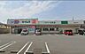 周辺：「ドラッグセイムス千葉桜木店」まで310m (徒歩4分)医薬品から日用品まで揃う、日常の買い物にも便利です。