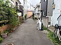 緑豊かな植栽が...