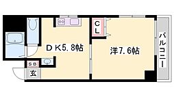 メゾンファイブ松本 4階/-