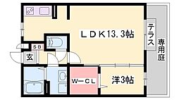 プラシード