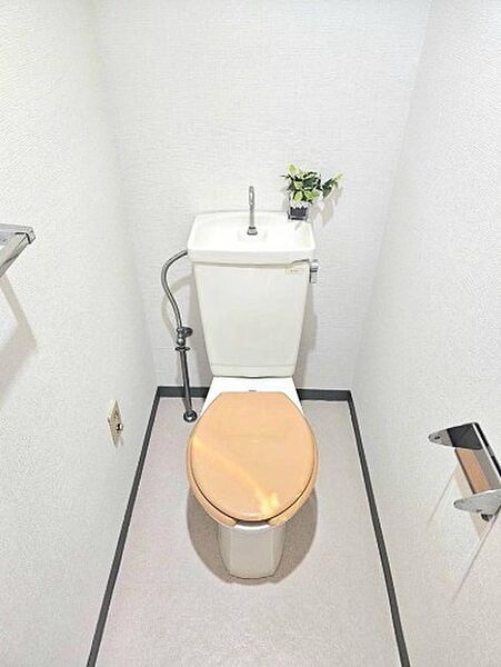 トイレを拡大表示