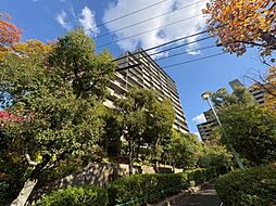 3 / 7
