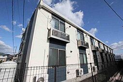 レオネクストパンプキン