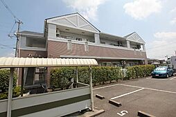 ブランドール