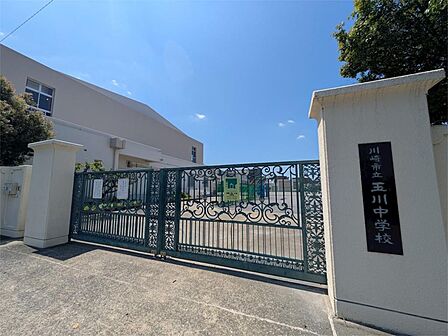 川崎市立玉川中学校（800m）