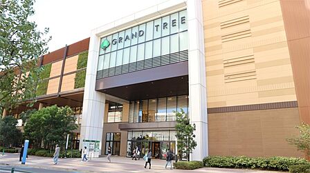 GRAND TREE MUSASHIKOSUGI（グランツリー武蔵小杉）（640m）