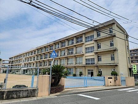 錦浦小学校 420m