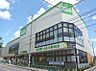 周辺：コープ中野鷺宮店（619m）