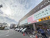 スギドラッグ　葛飾白鳥店（554m）
