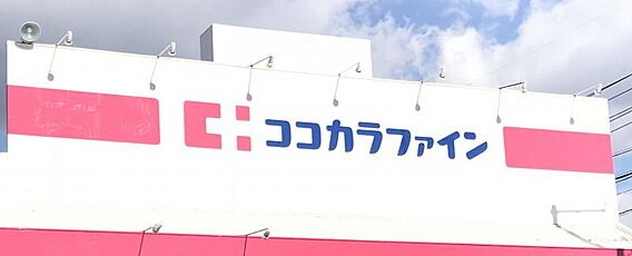 ココカラファイ...