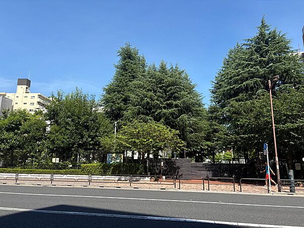 周辺を拡大表示